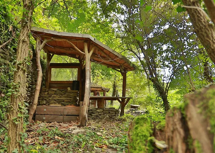 Ecolieu Les Masades * Malons-et-Elze